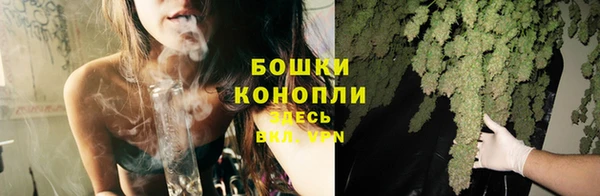 2c-b Новозыбков