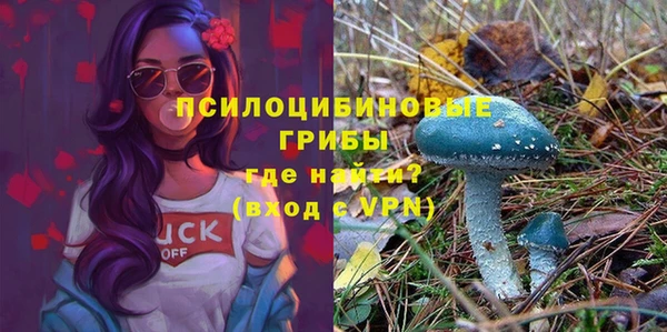 2c-b Новозыбков