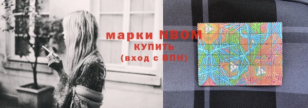 2c-b Новозыбков